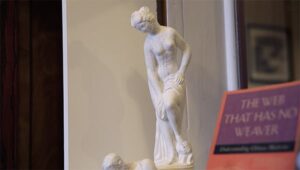 Acupuncture Model